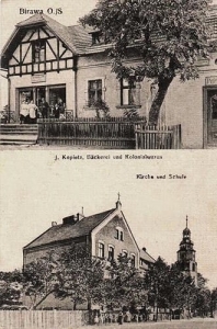 Bierawa widokowa - Reprodukcja 31045