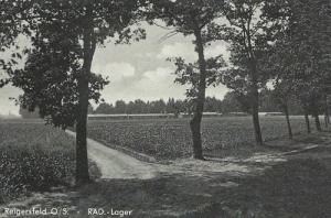 Bierawa - Reprodukcja 31056