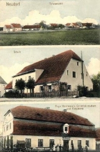 Nowice widokowa - Reprodukcja 31065