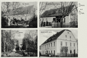 Olszany widokowa - Reprodukcja 31077