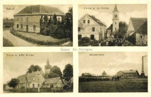 Olszany widokowa - Reprodukcja 31079