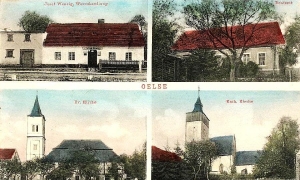 Olszany widokowa - Reprodukcja 31080