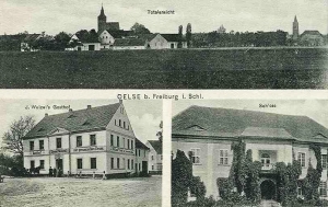 Olszany widokowa - Reprodukcja 31081