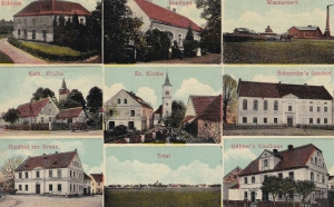 Olszany widokowa - Reprodukcja 31082