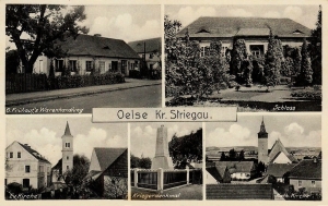 Olszany widokowa - Reprodukcja 31085