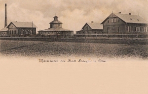 Olszany - Reprodukcja 31086