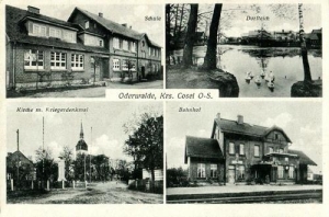 Dziergowice widokowa - Reprodukcja 31123