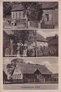 Grabówka widokowa - Reprodukcja 31134