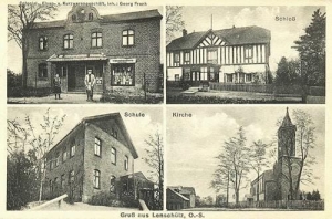 Łężce widokowa - Reprodukcja 31158