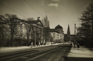 Poznań ul. Fredry - Reprodukcja 3907