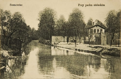 nowe-15420.jpg