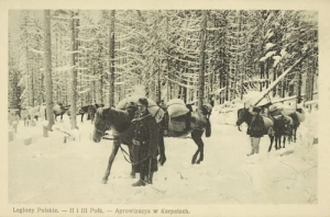 Legiony Polskie - Reprodukcja 5673