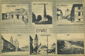 Żywiec widoki - Reprodukcja 5155