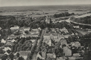 Brzeg Dolny panorama - Reprodukcja 15363