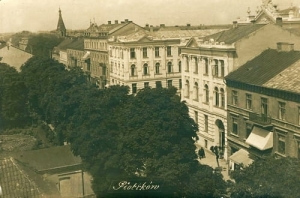 Piotrków Trybunalski - Reprodukcja 15233