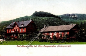 Bielawa Steinhauser-Hof - Reprodukcja 2341