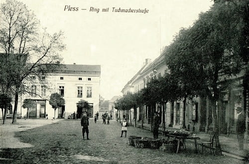 nowe-15545.jpg