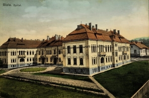 Bielsko Biała Szpital -Reprodukcja 228