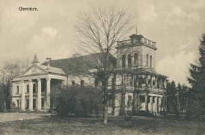Gębice Pałac -Reprodukcja 5087
