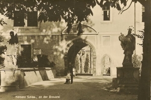 Kamieniec Ząbkowicki - Reprodukcja 15863