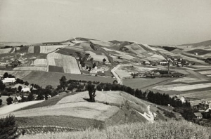 Sanok panorama- Reprodukcja 3918