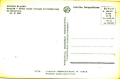 7278904325_1