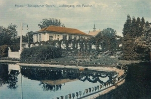 Poznań Ogród Zoologiczny - Reprodukcja 5419