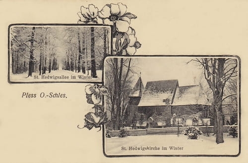 nowe-15513.jpg