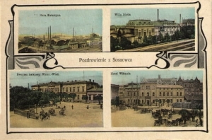 Sosnowiec widokowa - Reprodukcja 15439