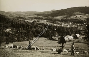 Wisła panorama - Reprodukcja 2311