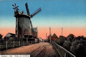 Zielona Góra Wiatrak - Reprodukcja 1191