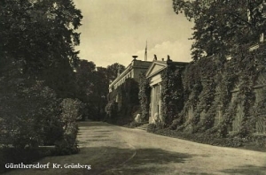 Zatonie Pałac - Reprodukcja 16011