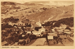 Piwniczna widok ogólny - Reprodukcja 4913