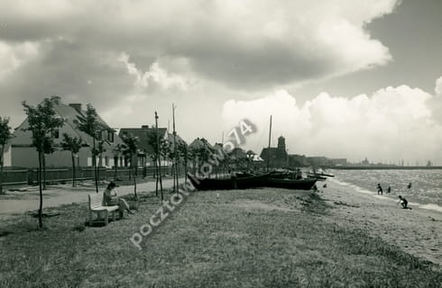 7131491042_1