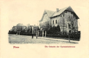 Pszczyna Gymnasialstr. - Reprodukcja 15498