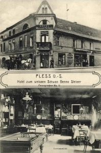 Pszczyna Hotel - Reprodukcja 15541