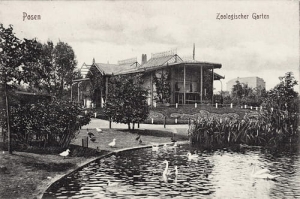 Poznań Ogród Zoologiczny -Reprodukcja 15290