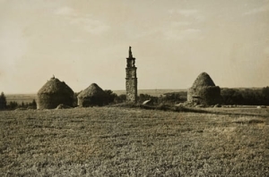 Kurozwęki figura - Reprodukcja 3849