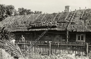 Hordyszcze koło Pińska - Reprodukcja 3471