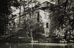 Kurozwęki Zamek - Reprodukcja 3866