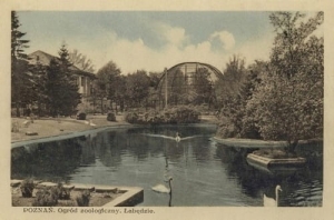 Poznań Ogród zoologiczny - Reprodukcja 5250