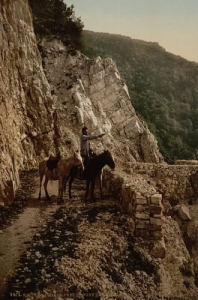 Gruzja 1890r. -Reprodukcja 4552