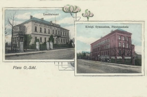 Pszczyna widokowa - Reprodukcja 15553