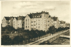 Sosnowiec Kolonja - Reprodukcja 4791