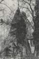 nowe-15457.jpg