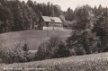 nowe-15701.jpg