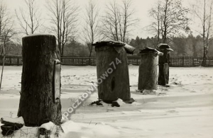 Sienkiewicze pasieka -Reprodukcja 2290