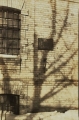 7280245616