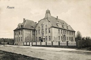 Poznań ul. Czarneckiego - Reprodukcja 5388