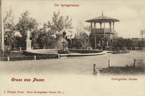 Poznań Ogród Zoologiczny - Reprodukcja 5383